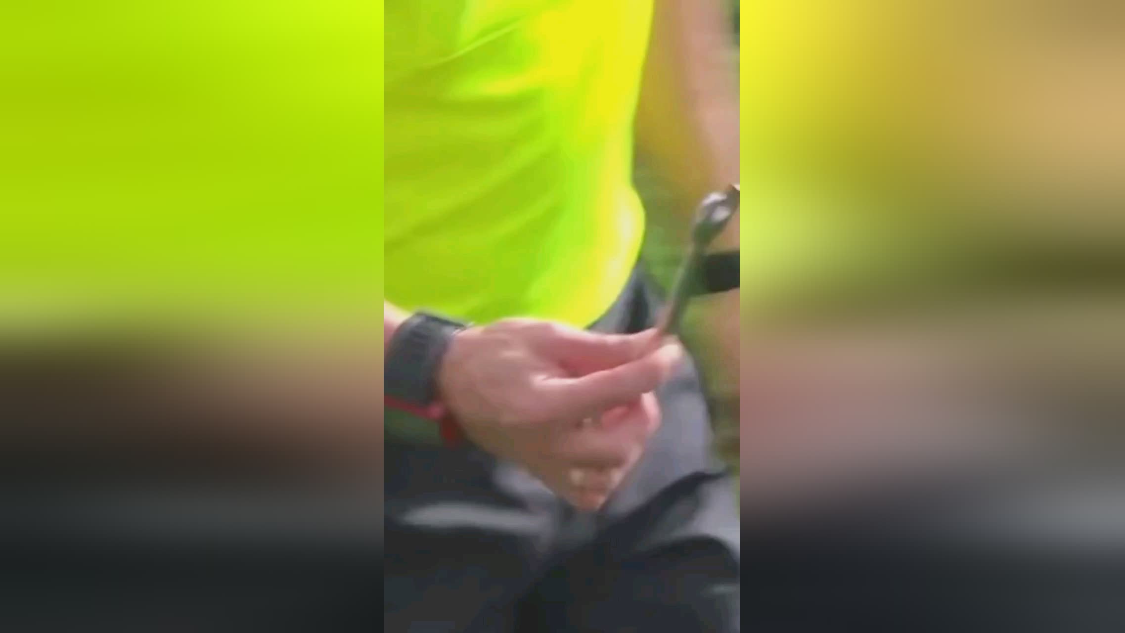 虽人气稍